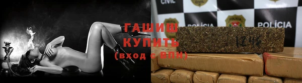 сатива Лабытнанги
