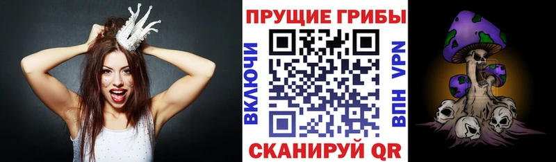 Галлюциногенные грибы Psilocybine cubensis  Томмот 